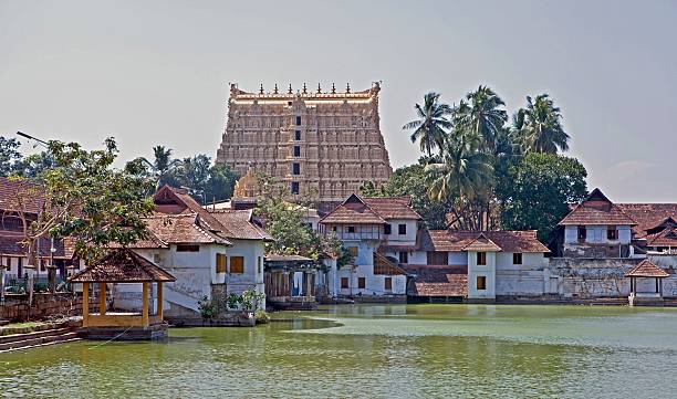 Kerala Uncovered: Tranquil Hills to Coastal Tranquility - Image 14 | Sky Globals