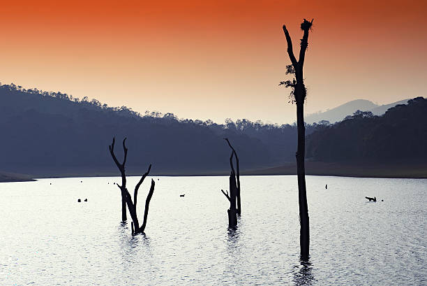 Kerala Uncovered: Tranquil Hills to Coastal Tranquility - Image 7 | Sky Globals