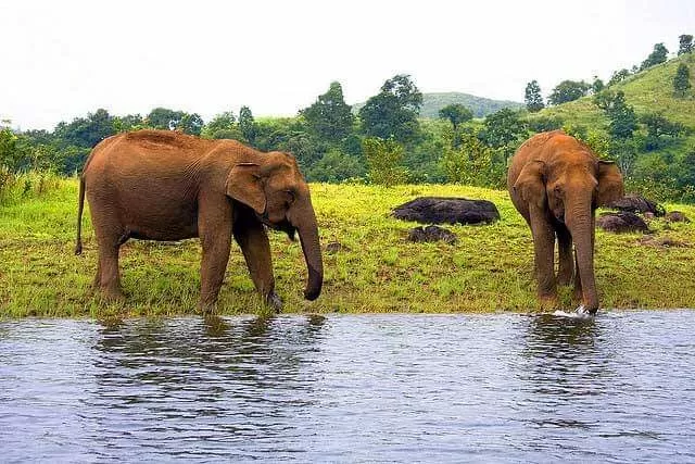 Kerala Uncovered: Tranquil Hills to Coastal Tranquility - Image 6 | Sky Globals