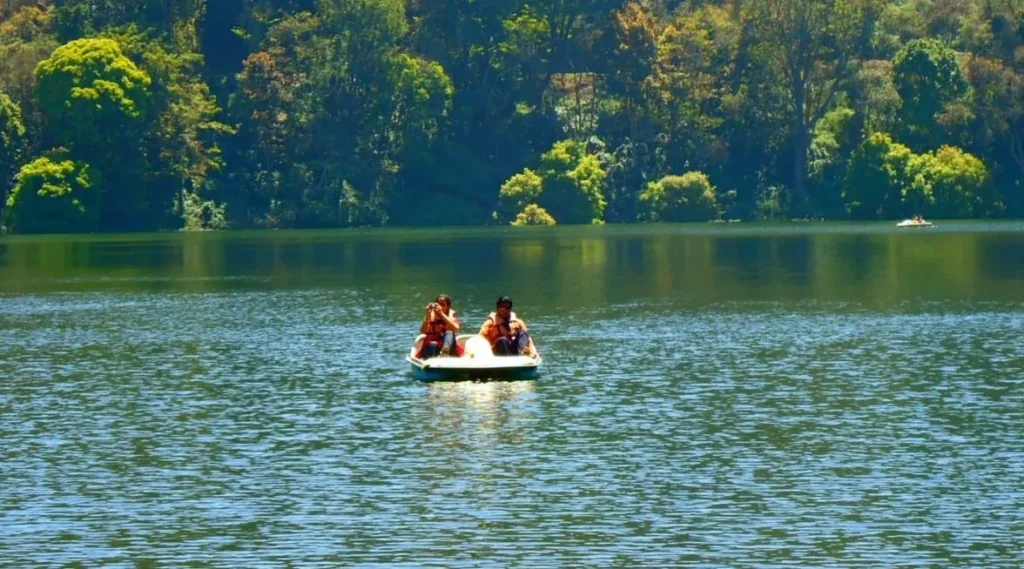 Kerala Uncovered: Tranquil Hills to Coastal Tranquility - Image 5 | Sky Globals