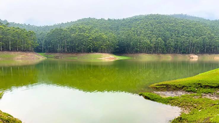 Kerala Uncovered: Tranquil Hills to Coastal Tranquility - Image 4 | Sky Globals