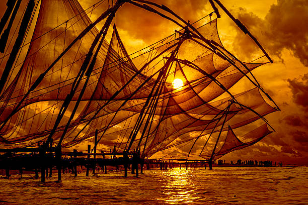 Kerala Harmony: From Cochin to Alleppey - Image 12 | Sky Globals