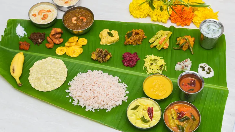 Kerala Harmony: From Cochin to Alleppey - Image 11 | Sky Globals
