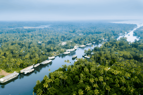Kerala Harmony: From Cochin to Alleppey - Image 10 | Sky Globals