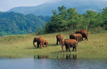 Kerala Harmony: From Cochin to Alleppey - Image 6 | Sky Globals