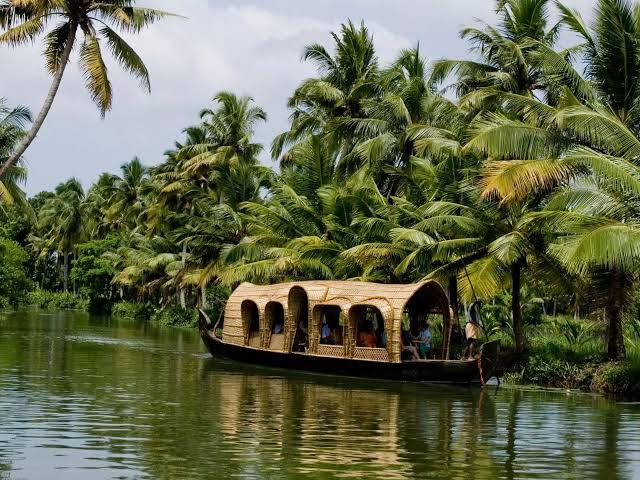 Kerala Kaleidoscope: Munnar to Mararikulam - Image 10 | Sky Globals