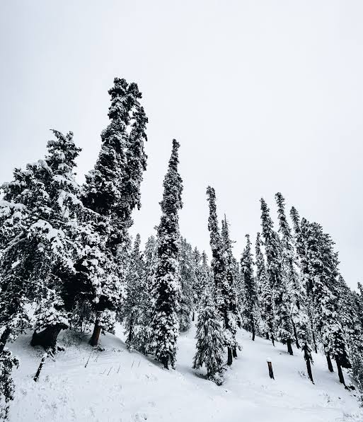 Explore Kashmir For  6-Days - Image 11 | Sky Globals