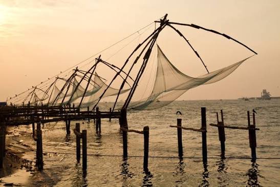 Munnar, Thekkady & Alleppey: A Perfect Escape - Image 15 | Sky Globals