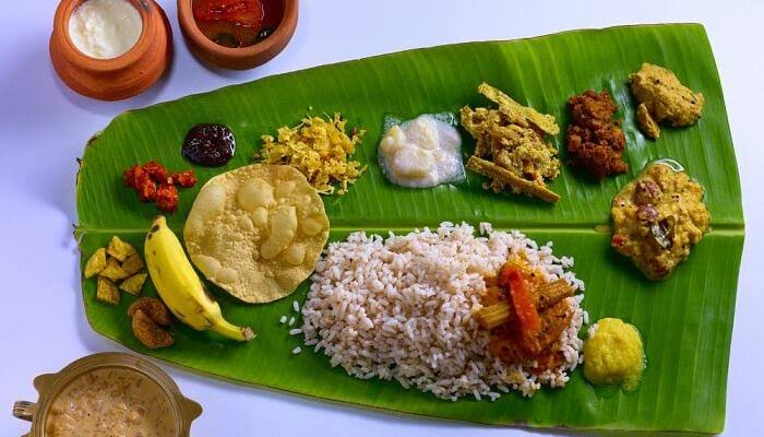 Munnar, Thekkady & Alleppey: A Perfect Escape - Image 13 | Sky Globals