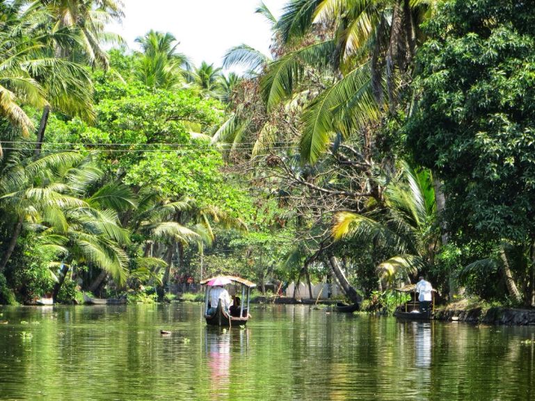 Munnar, Thekkady & Alleppey: A Perfect Escape - Image 12 | Sky Globals