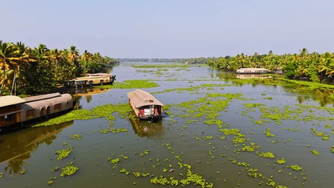 Munnar, Thekkady & Alleppey: A Perfect Escape - Image 11 | Sky Globals