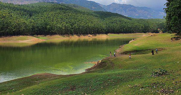 Munnar, Thekkady & Alleppey: A Perfect Escape - Image 5 | Sky Globals