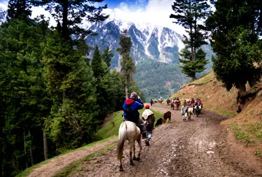 Magical Kashmir Tour Package - Image 15 | Sky Globals