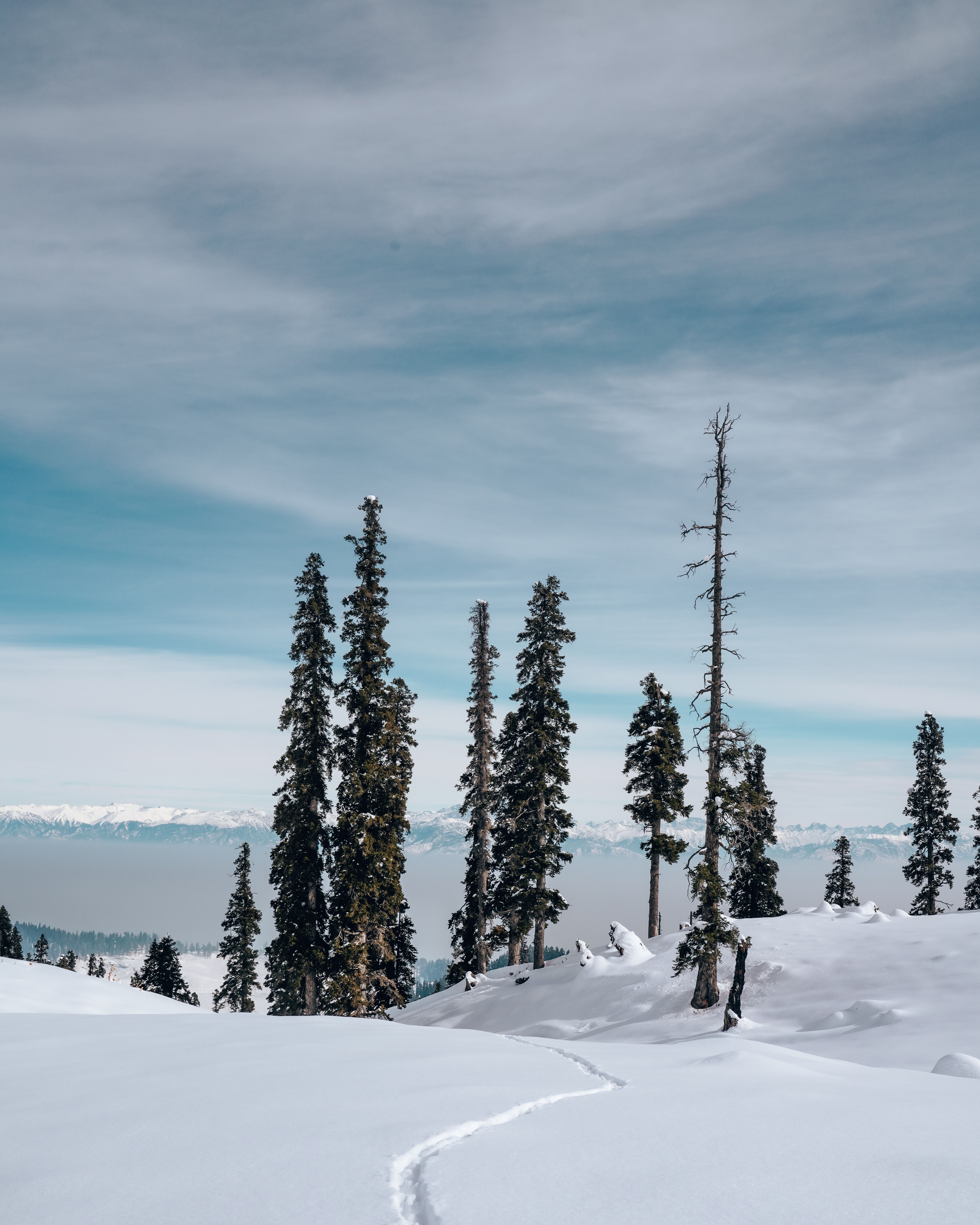 Magical Kashmir Tour Package - Image 10 | Sky Globals