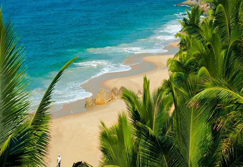 Trivandrum & Kovalam: A Perfect Beach Vacation - Image 5 | Sky Globals