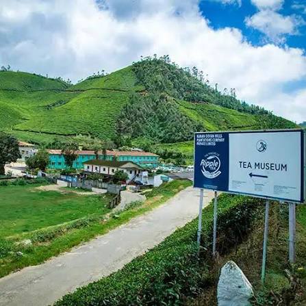 Munnar to Alleppey: A Scenic Kerala Getaway - Image 8 | Sky Globals