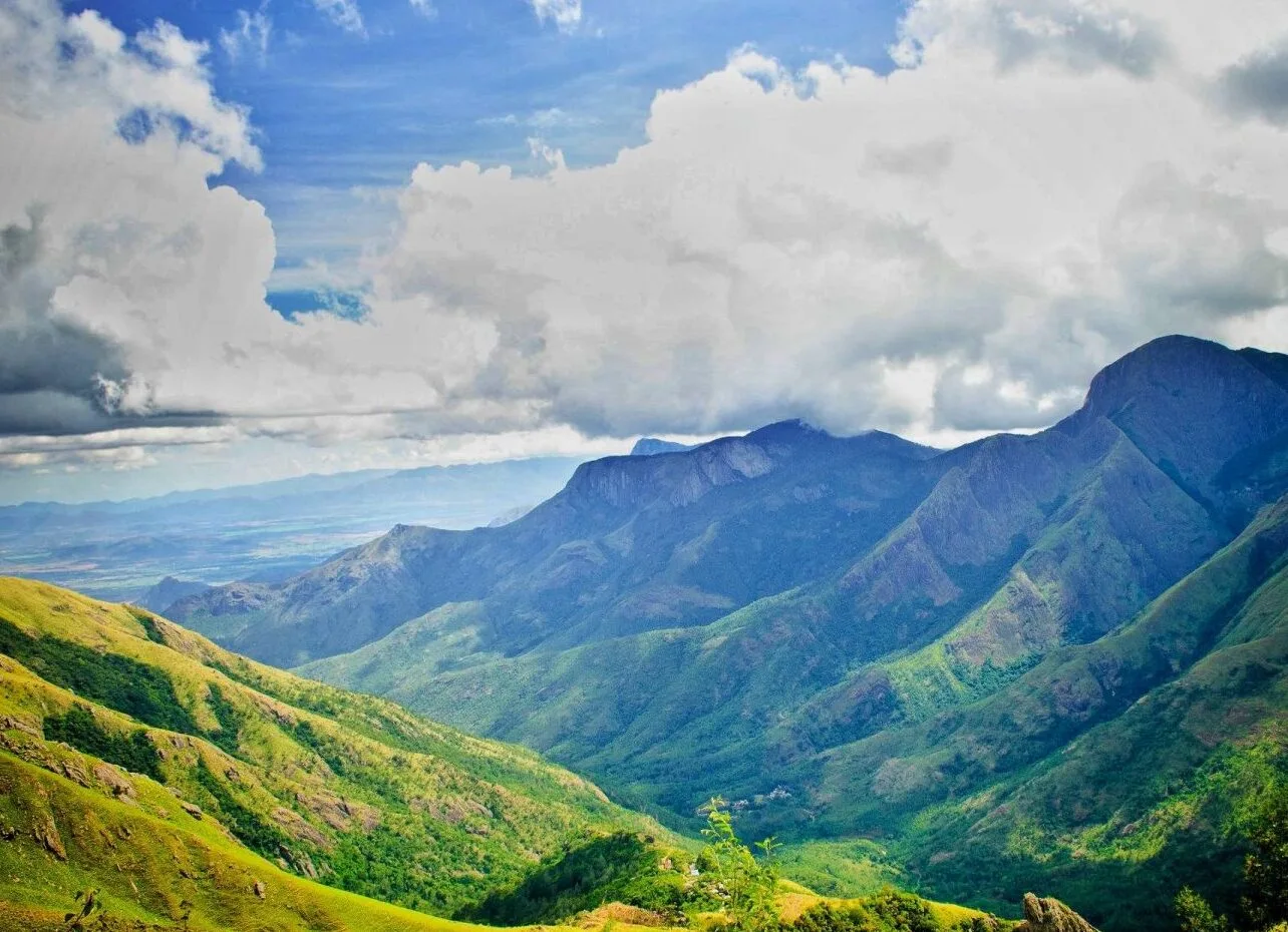 Munnar to Alleppey: A Scenic Kerala Getaway - Image 5 | Sky Globals
