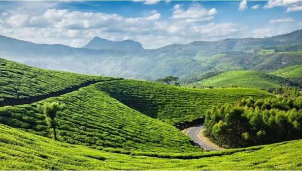 Munnar Highlands: A Quick Getaway - Image 10 | Sky Globals