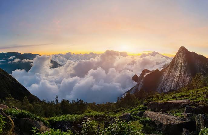Munnar Highlands: A Quick Getaway - Image 9 | Sky Globals