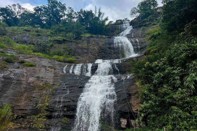 Munnar Highlands: A Quick Getaway - Image 8 | Sky Globals