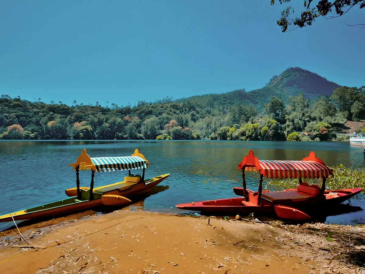 Munnar Highlands: A Quick Getaway - Image 7 | Sky Globals
