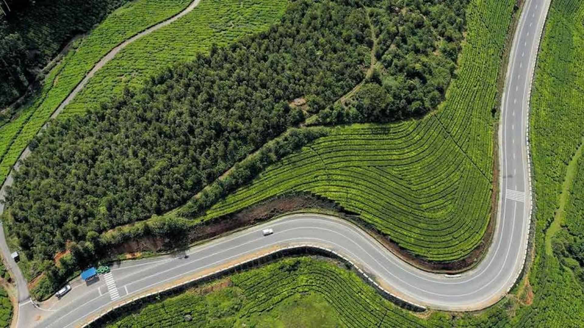 Munnar Highlands: A Quick Getaway - Image 2 | Sky Globals
