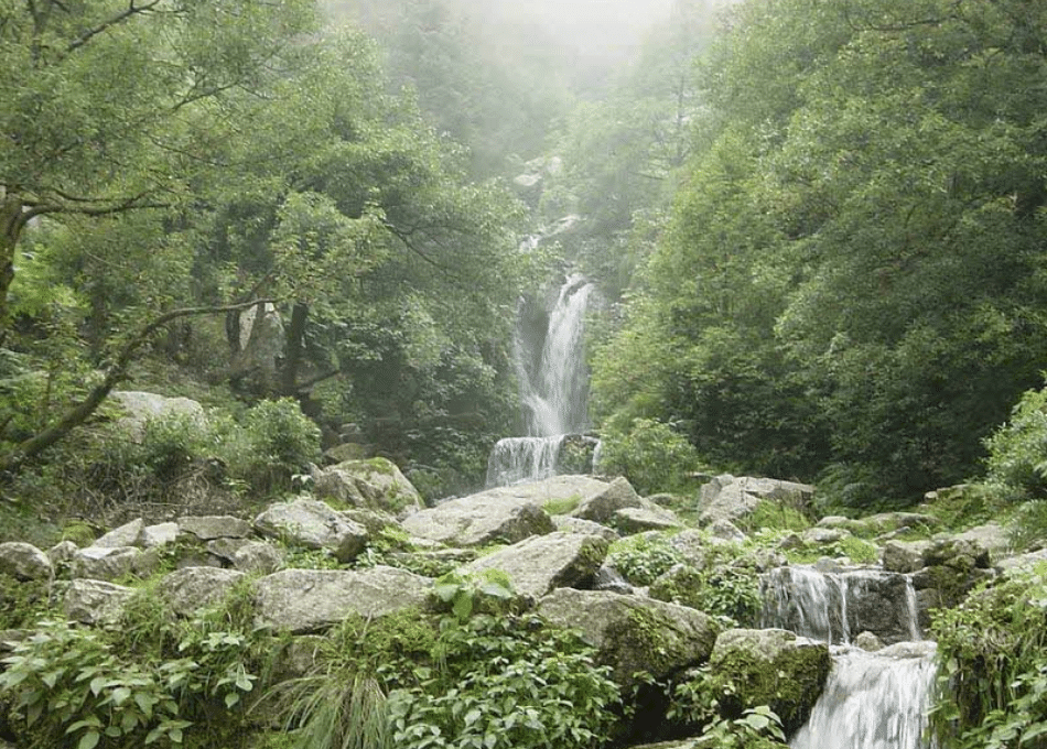 10 Days Himachal tour from Delhi - Image 16 | Sky Globals