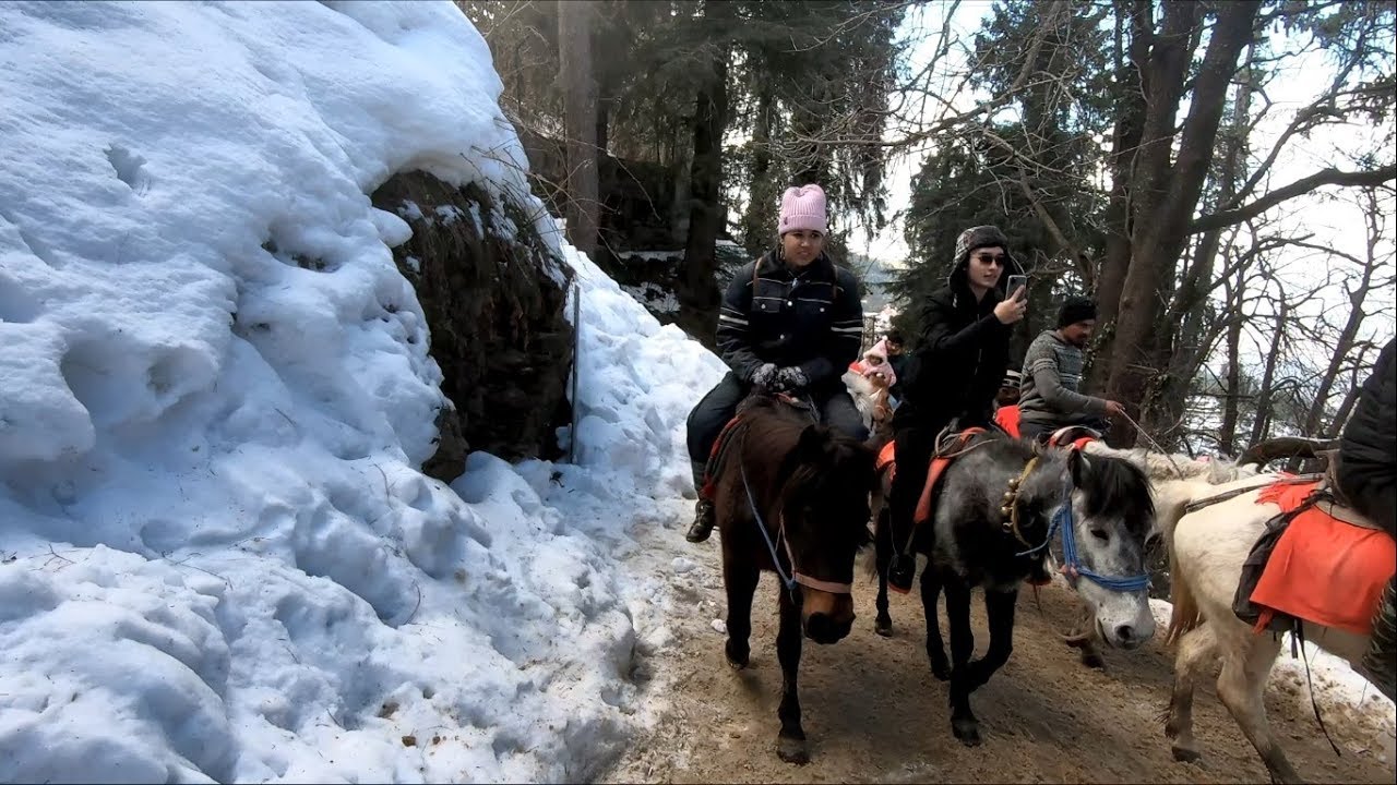6-Nights Shimla Manali Trip With Kasol - Image 11 | Sky Globals