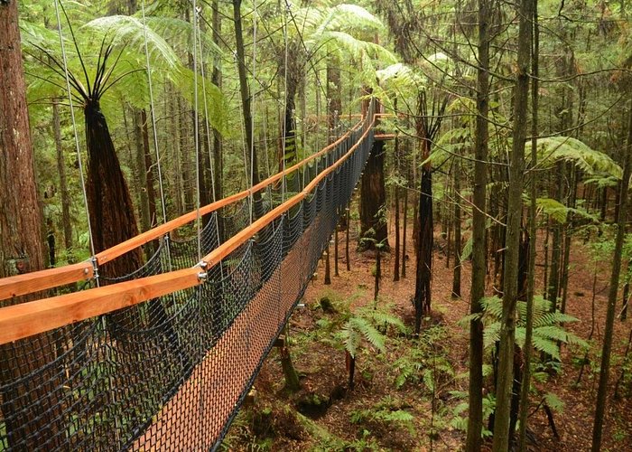 Explore of New Zealand - International Tour Package by Sky Globals